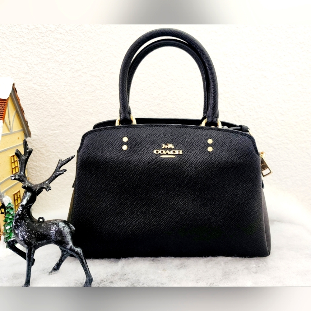 Coach New York Mini Lillie Carryall